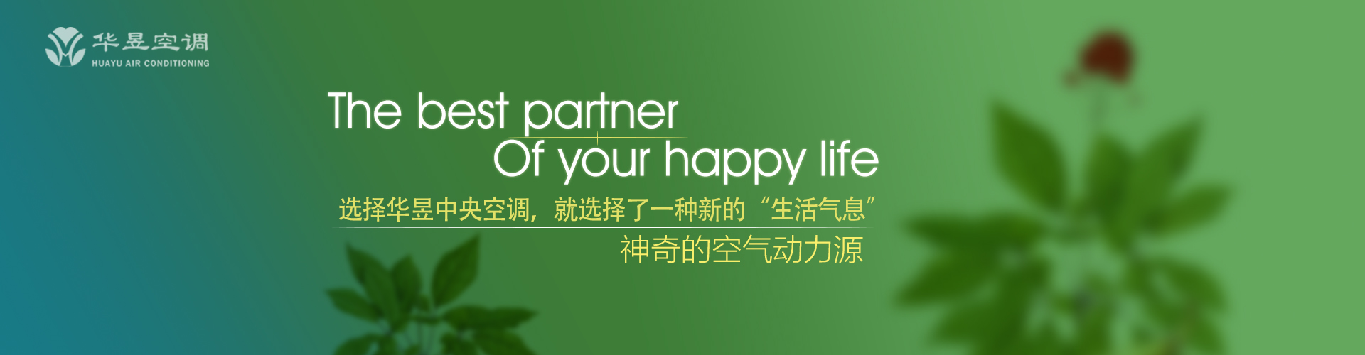 混淆视听网